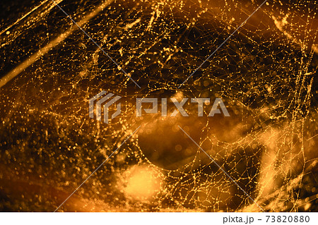 blurred abstract and art with bokeh of cobweb and blur orange tone blurred abstract and art with bokeh of cobweb and blur orange tone 73820880