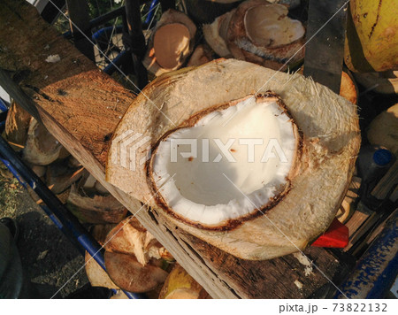 メキシコ　ココナッツ 73822132