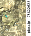 熱帯魚がいる水の模様 73822628
