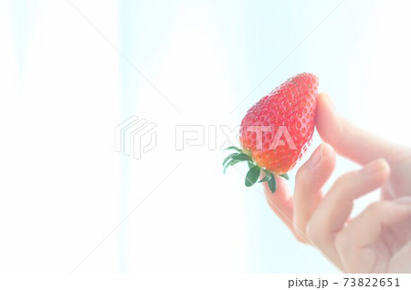 いちご いちご 73822651