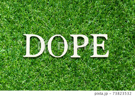 Alphabet letter in word dope on green grass background Alphabet letter in word dope on green grass background 73823532