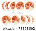 Moon phases celestial watercolor clip art set. Printable moon phases, moon logo kit 73823692