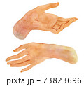 Hands drawing realistic sketch. Watercolor hands gesture set. Isolated human palm clip art. 73823696