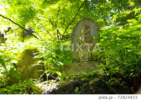 梅雨明けを迎えた宝珠山 立石寺『山寺』 73824833