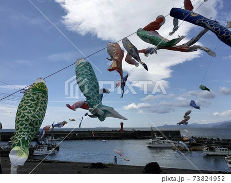 神奈川県　湯河原町　福浦漁港　鯉のぼり　煽り 73824952