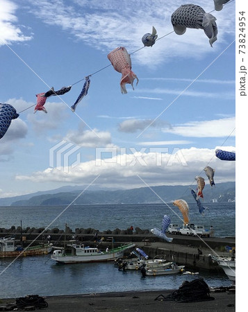 神奈川県 湯河原町 福浦漁港 五月晴れにたなびく鯉のぼり ロング 神奈川県 湯河原町 福浦漁港 五月晴れにたなびく鯉のぼり ロング 73824954