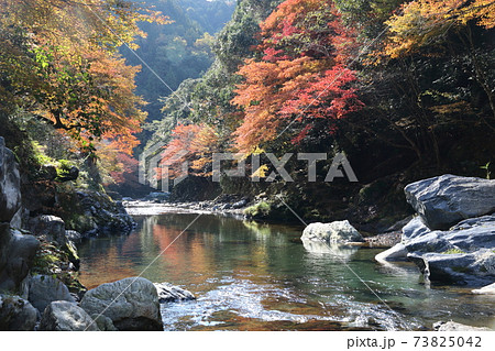 秋の清滝 秋の清滝 73825042