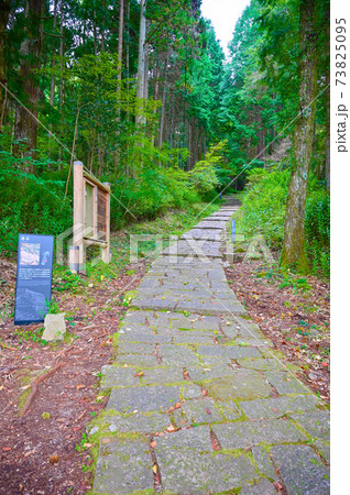 岩村城跡　藤坂　恵那市 73825095