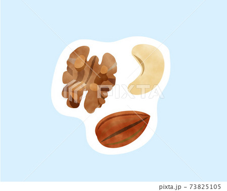 免疫力を高める食材／糖質制限／水彩／ナッツ 73825105