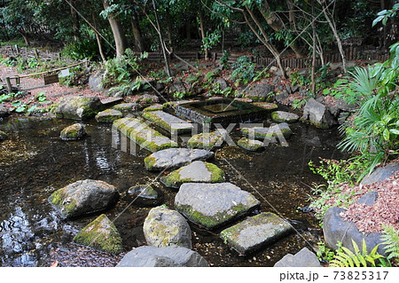 1月 武蔵野43お茶の水(井の頭池の湧水)・井の頭恩賜公園 1月 武蔵野43お茶の水(井の頭池の湧水)・井の頭恩賜公園 73825317