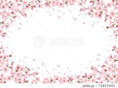 一面の桜 桜並木を見上げる風景イラスト 飾り フレーム 周りに装飾 横長 A3 比率 のイラスト素材