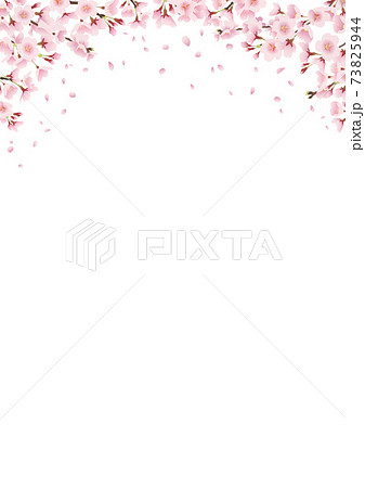 満開の桜並木 桜のアーチ 風景イラスト 飾り フレーム 上部に装飾 縦長 A3 比率 のイラスト素材