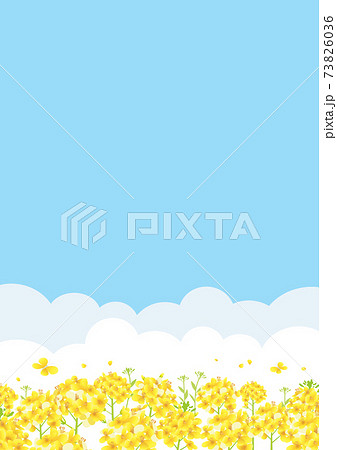 青空と菜の花畑 背景イラスト 縦長 A3 比率 のイラスト素材