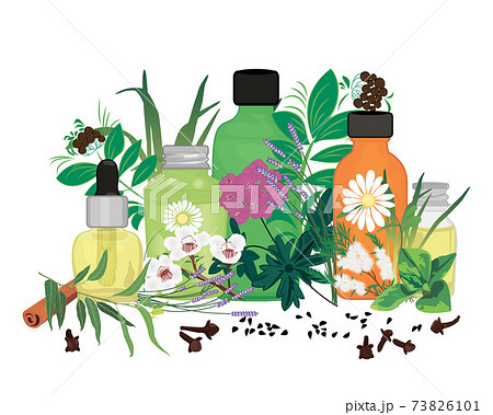 Set of essential oils vector illustration Aromatherapy Set of essential oils vector illustration Aromatherapy 73826101