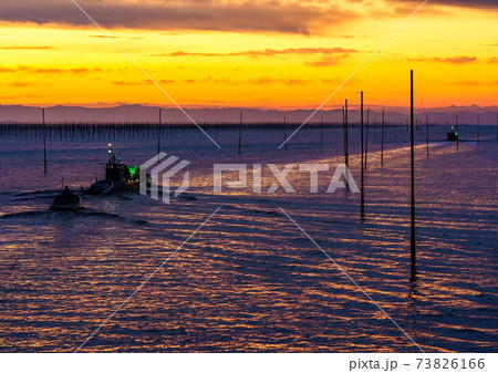 有明海のノリ網設置の早朝出航状況 73826166