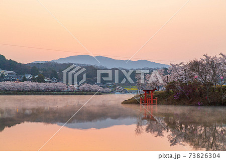 広島県 庄原市上野公園の朝焼けと桜の写真素材