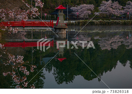 広島県　庄原市桜の名所上野公園 73826318