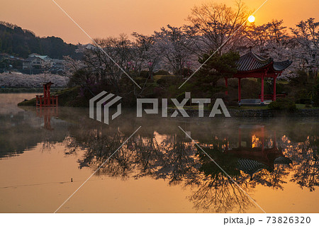 広島県　庄原市桜の名所上野公園の日の出 73826320