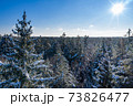 Winter forest on a clear, frosty day. Beautiful Christmas trees stand all in the snow against the blue sky. Aerial view, shot on a drone. 73826477