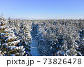 Winter forest on a clear, frosty day. Beautiful trees are covered with snow. A forest road is visible. Aerial view, shot on a drone. 73826478