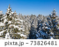 Winter forest on a clear, frosty day. Beautiful Christmas trees stand all in the snow against the blue sky. Aerial view, shot on a drone. 73826481
