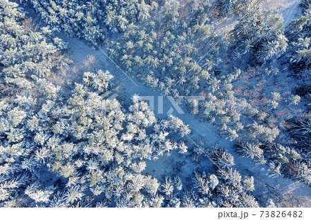 Winter forest on a clear, frosty day. Beautiful trees are covered with snow. A forest road is visible. Aerial view, shot on a drone. Winter forest on a clear, frosty day. Beautiful trees are covered with snow. A forest road is visible. Aerial view, shot on a drone. 73826482