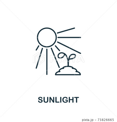 Sunlight icon from garden collection. Simple line Sunlight icon for templates, web design and infographics 73826665