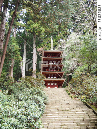 室生寺五重塔を見上げる 室生寺五重塔を見上げる 73826683