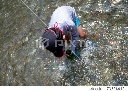 7 years old 73828012