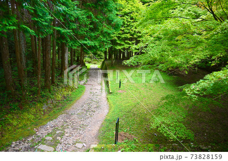 岩村城跡　一之門　恵那市 73828159