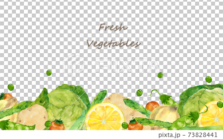 蔬菜框架水彩插圖 蔬菜框架水彩插圖 73828441