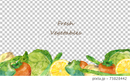 Vegetable Frame Watercolor Illustration Stock Illustration