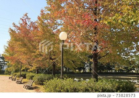 大牟田市　諏訪公園　紅葉、 73828573