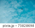 空に浮かぶ飛行機のシルエット 73828698