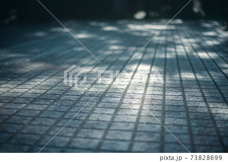 木漏れ日と地面 73828699