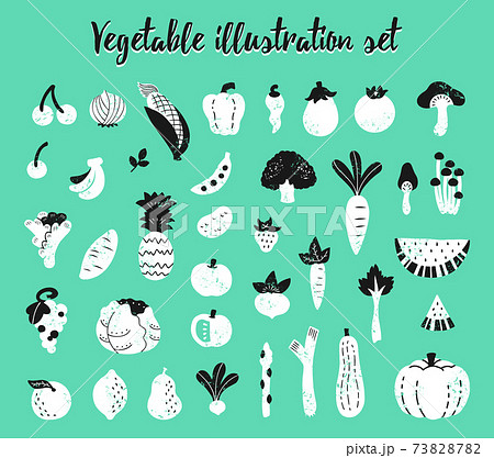 手描きの野菜と果物の素材セット 手描きの野菜と果物の素材セット 73828782