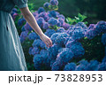 紫陽花に手を伸ばす女性 73828953