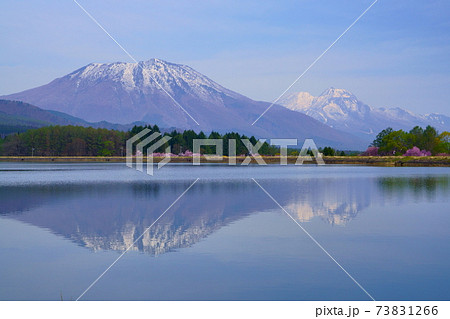 早春の飯綱町霊仙寺湖に黒姫山・妙高山が水鏡 早春の飯綱町霊仙寺湖に黒姫山・妙高山が水鏡 73831266