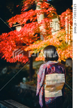 紅葉と着物の女性の縦写真 73831325