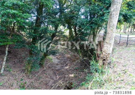 外堀跡 牧ノ原台地に広がる茶畑に遺る諏訪原城跡（戦国時代の城跡、武田方の山城） 73831898