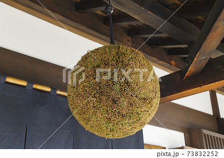 日本酒が出来た事を知らせる杉玉 日本酒が出来た事を知らせる杉玉 73832252