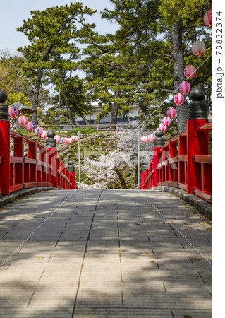 岡崎公園桜まつり(愛知県) 岡崎公園桜まつり(愛知県) 73832374