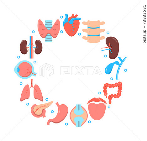 Medical science poster with human organs icons in flat style 73833581