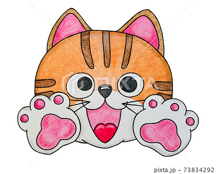 こぶたたぬききつねねこ　ネコ2 73834292