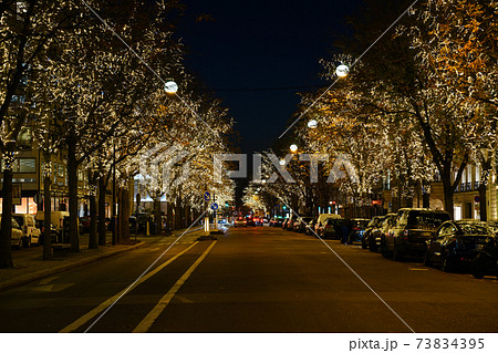  parisのクリスマス 73834395