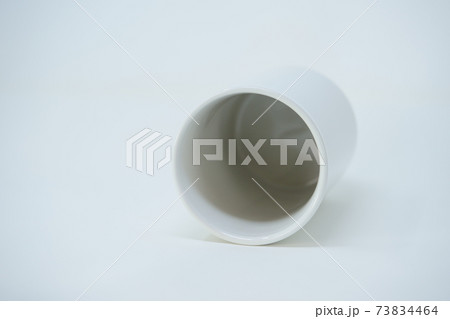 真っ白な花瓶・横倒し3 真っ白な花瓶・横倒し3 73834464