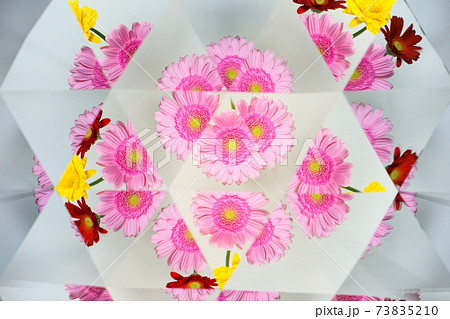 カラフルなガーベラ・万華鏡6 73835210