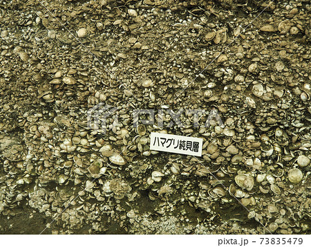 日本最大の加曾利貝塚 73835479