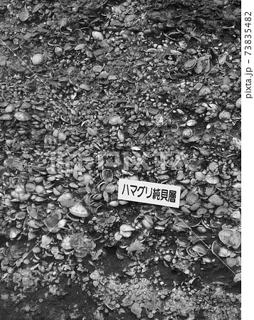 日本最大の加曾利貝塚 73835482