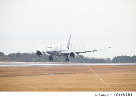 着陸する　飛行機 73836161